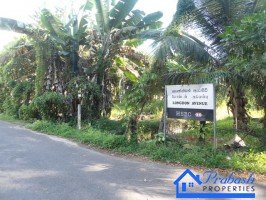 Land for Sale at Colombo 07